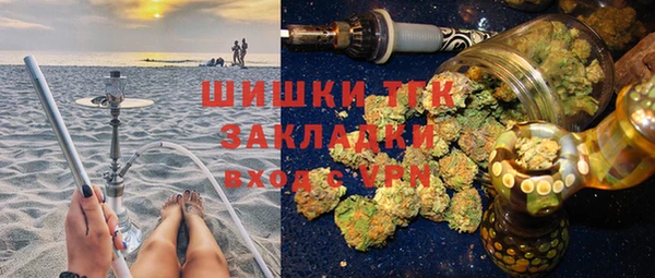 шишки Белоозёрский