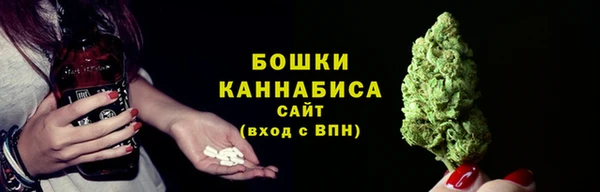 шишки Белоозёрский
