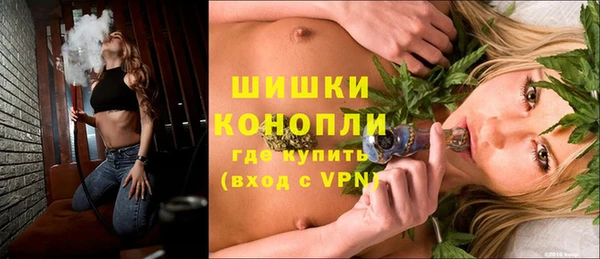 шишки Белоозёрский