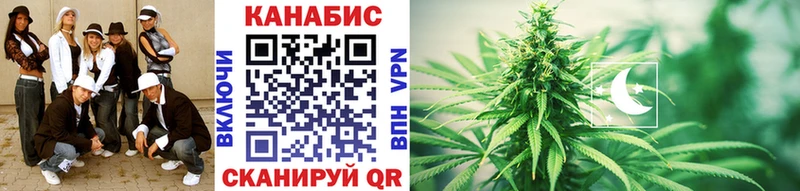 Каннабис план Краснознаменск